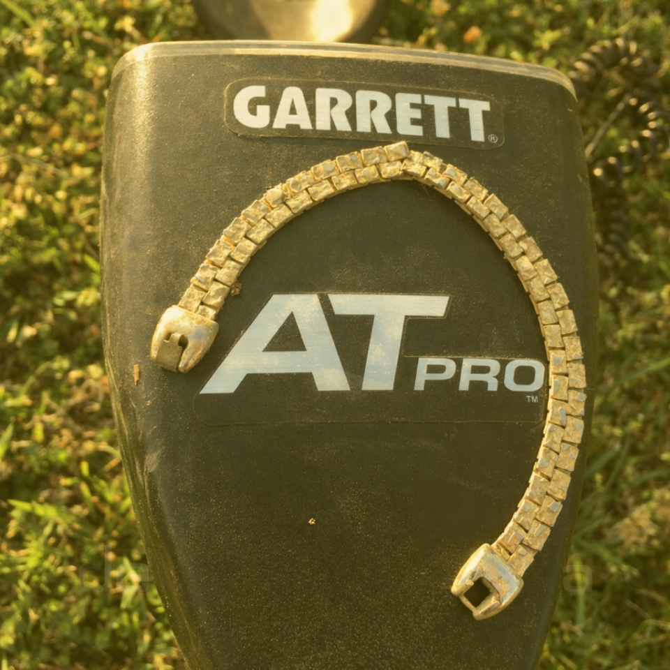 Garrett At Pro Dedektör (8,5x11'' DD Başlıkla)