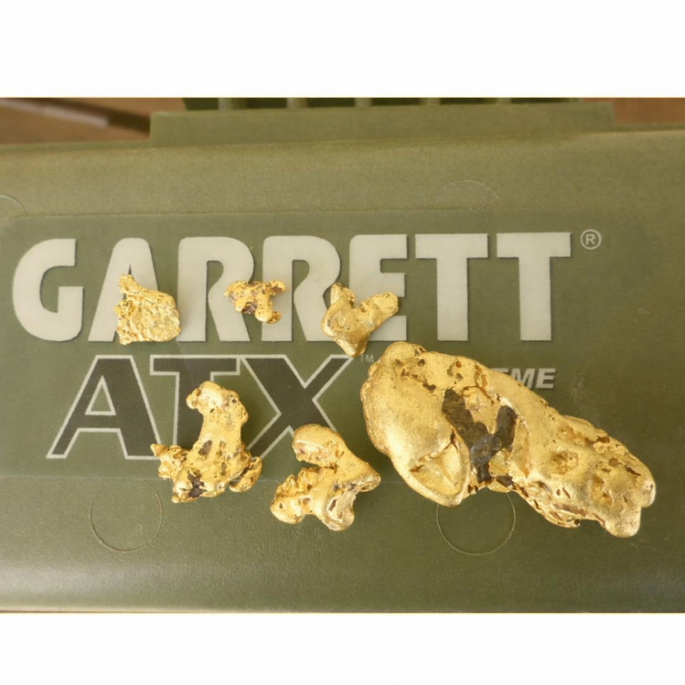 Garrett ATX Basic Altın Dedektörü