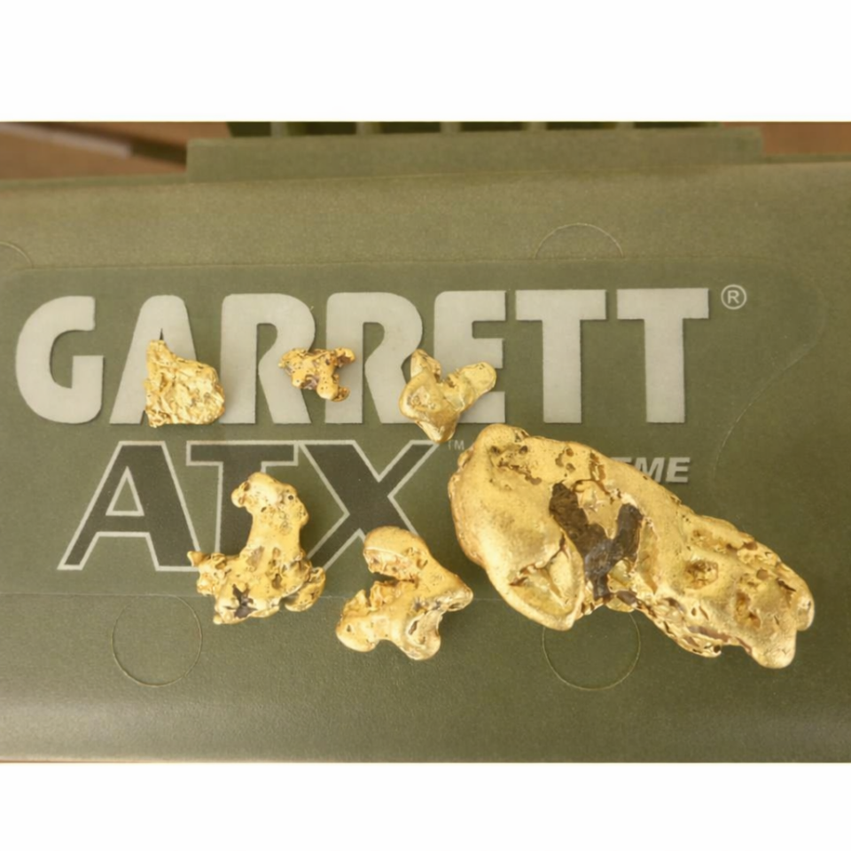 GarrettATX Basic Altın Dedektörü + 20'' Deepseeker Mono Arama Başlığı