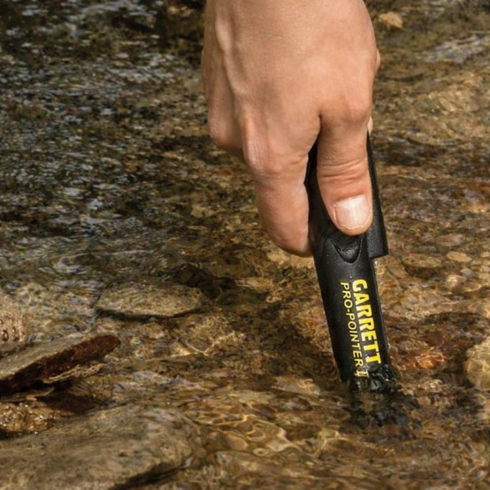 Garrett Pro Pointer 2